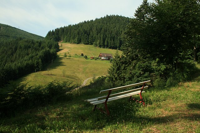 Glaswaldsee 2008 Bild 01